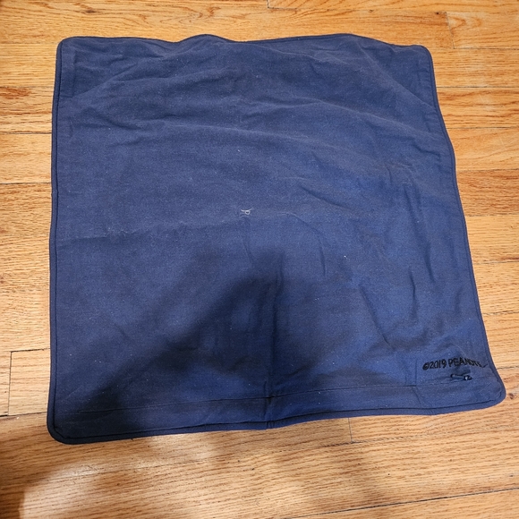 Pottery Barn Teen PEANUTS Pillow Sham Cases Pair (2) - Picture 8 of 15